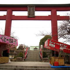 投稿日:2023年12月31日 写真