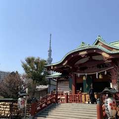 投稿日:2019年3月16日 写真