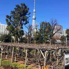 投稿日:2019年2月1日 写真