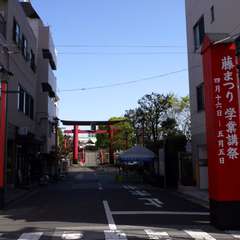 投稿日:2016年4月15日 写真