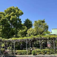 投稿日:2021年4月23日 写真