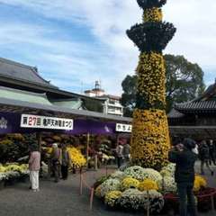 投稿日:2022年10月31日 写真