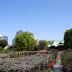 投稿日:2016年4月15日 写真