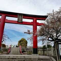 投稿日:2022年4月2日 写真