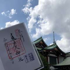 投稿日:2019年6月9日 写真