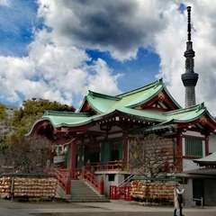 投稿日:2022年4月2日 写真