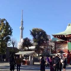 投稿日:2019年3月15日 写真