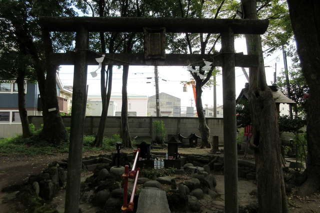 写真