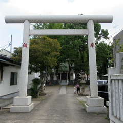 写真