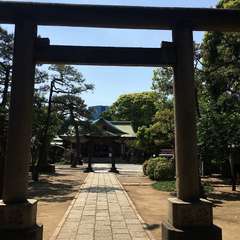 投稿日:2019年5月17日 写真