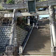 投稿日:2020年2月25日 写真