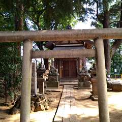 投稿日:2022年7月12日 写真