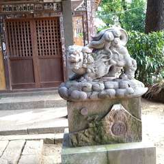 投稿日:2022年7月12日 写真