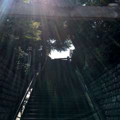 投稿日:2019年5月17日 写真