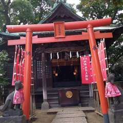 投稿日:2022年7月12日 写真