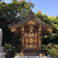 投稿日:2019年5月17日 写真