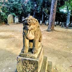 投稿日:2025年11月23日 写真