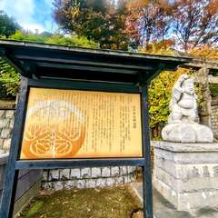 投稿日:2025年11月23日 写真