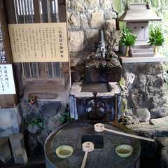 投稿日:2022年7月12日 写真