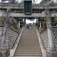 投稿日:2023年2月28日 写真