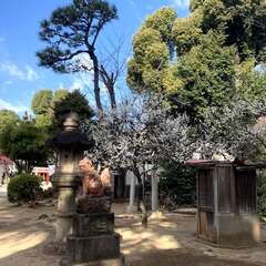 投稿日:2025年2月18日 写真