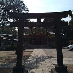 投稿日:2022年7月12日 写真