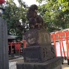 投稿日:2022年7月12日 写真