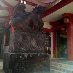 投稿日:2022年7月12日 写真