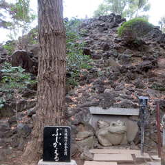 投稿日:2023年2月28日 写真