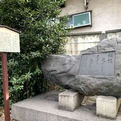 投稿日:2025年2月18日 写真