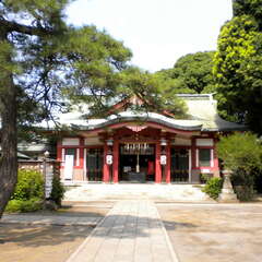 投稿日:2025年7月13日 写真