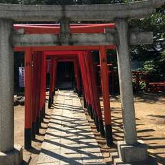 投稿日:2019年5月17日 写真