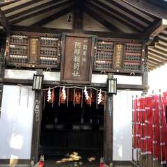 投稿日:2025年5月9日 写真