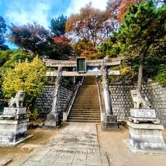 投稿日:2025年11月23日 写真