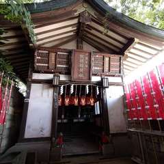 投稿日:2022年7月12日 写真