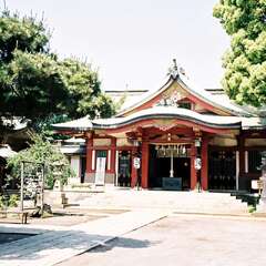 投稿日:2025年9月6日 写真