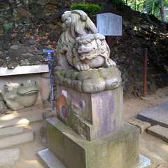 投稿日:2022年7月12日 写真