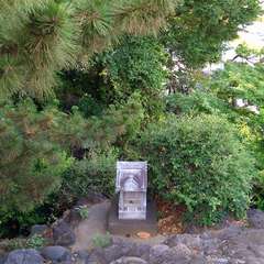 投稿日:2022年7月12日 写真