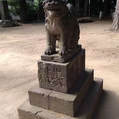 投稿日:2022年7月12日 写真