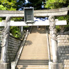 投稿日:2025年7月13日 写真