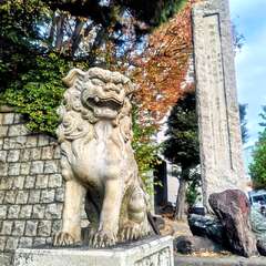 投稿日:2025年11月23日 写真