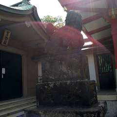 投稿日:2022年7月12日 写真