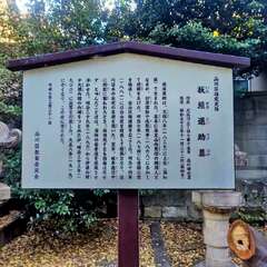 投稿日:2025年11月23日 写真