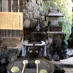 投稿日:2025年5月9日 写真