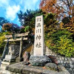 投稿日:2025年11月23日 写真