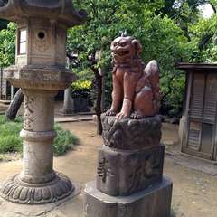 投稿日:2022年7月12日 写真