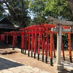 投稿日:2019年5月17日 写真