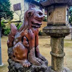 投稿日:2025年11月23日 写真