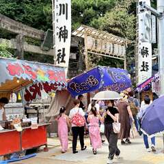 投稿日:2025年6月7日 写真