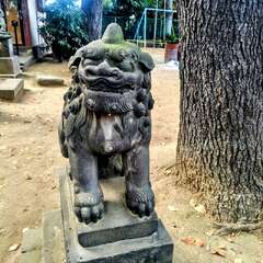 投稿日:2025年11月23日 写真